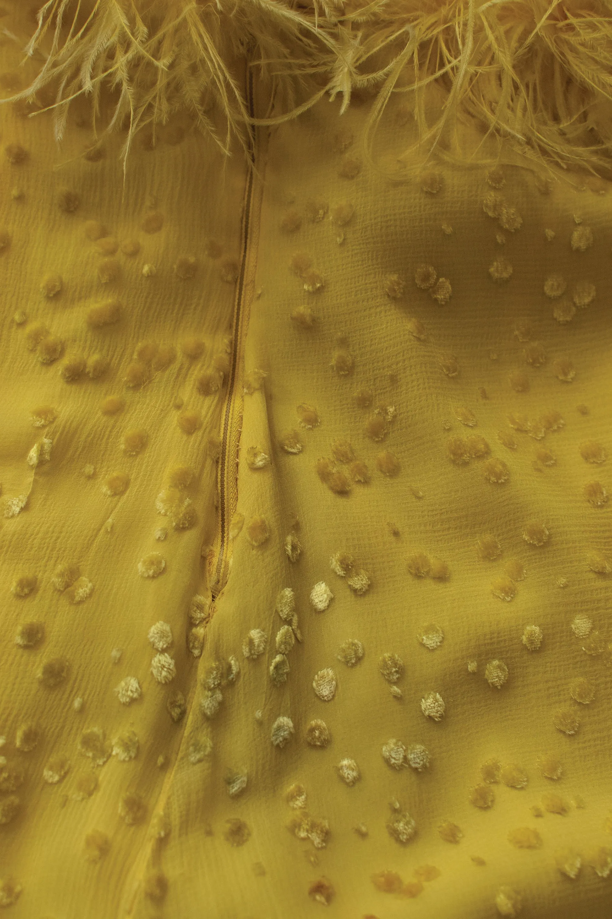 1970s Feather Trim Chiffon Dress