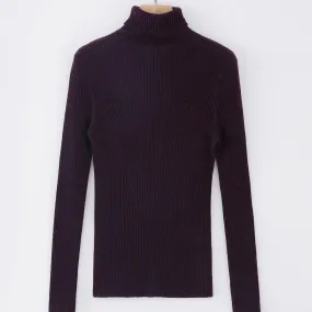 ALEGER No 32 Skinny Rib Polo Cashmere Blend - PORT