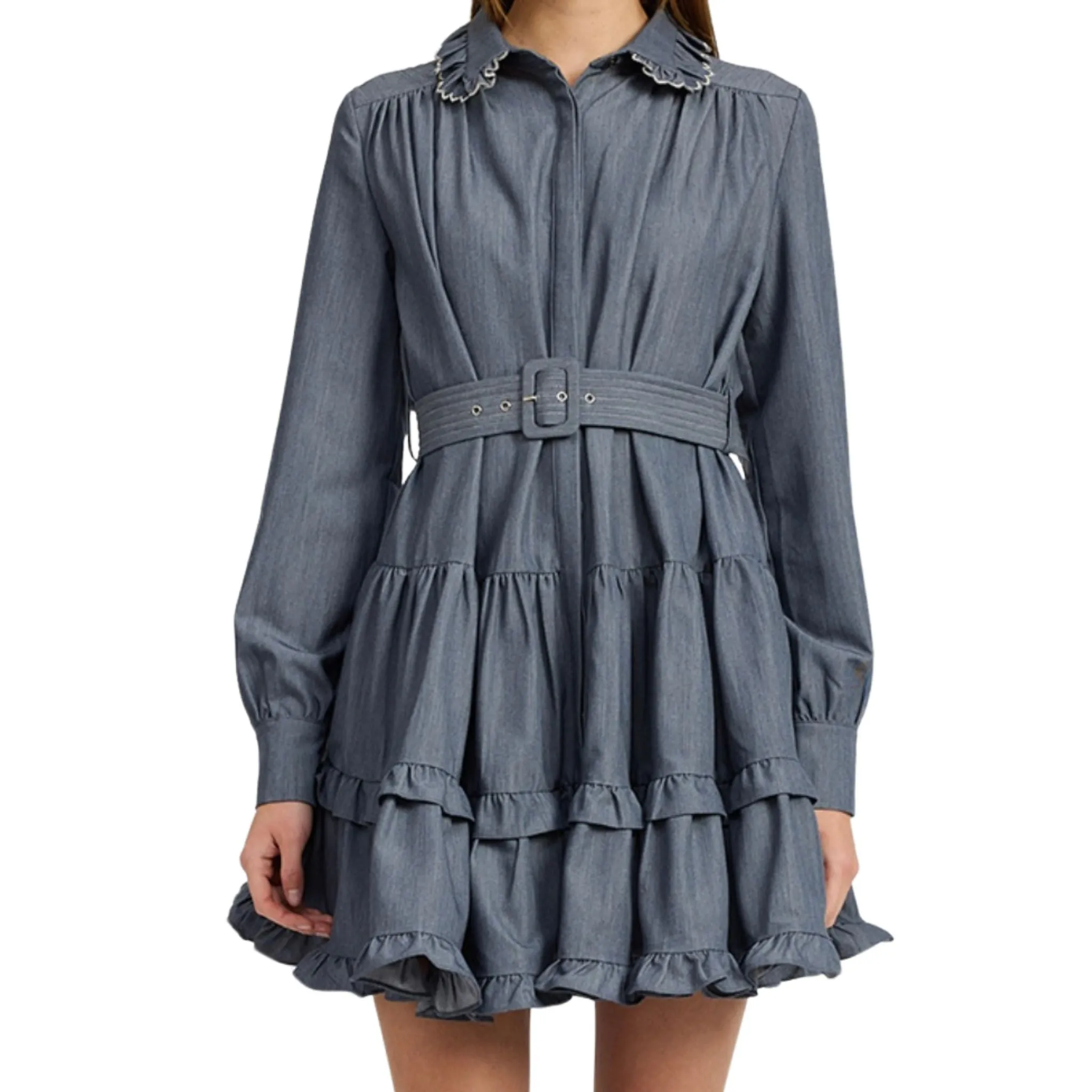 Angeline Embroidered Chambray Mini Dress
