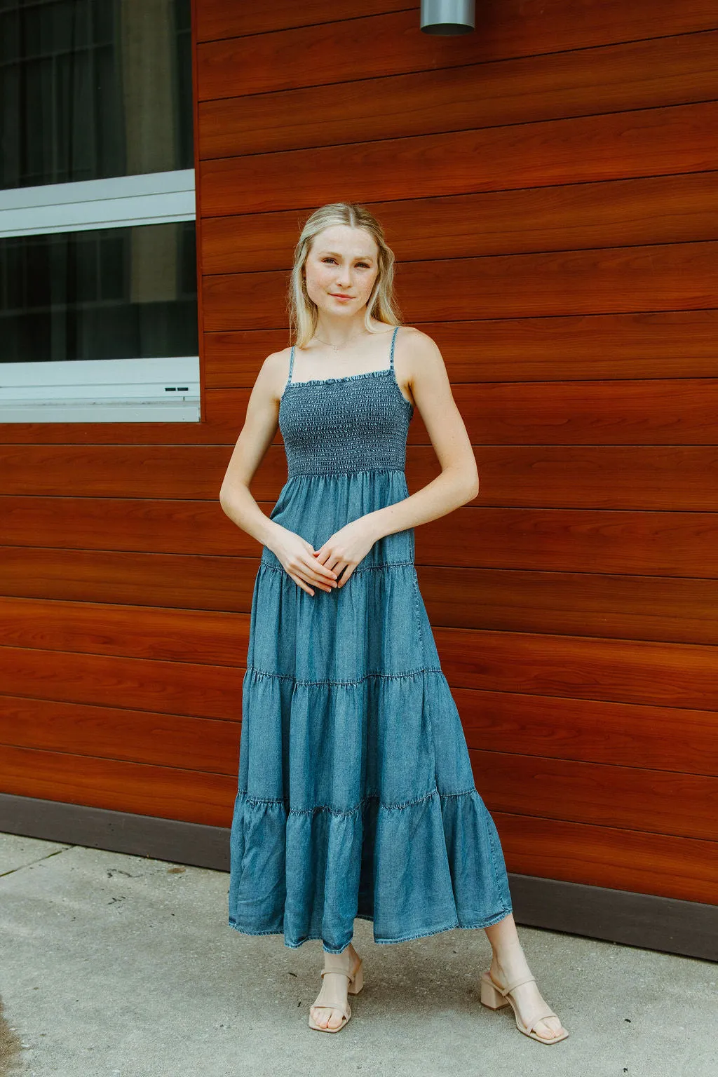 Balos Chambray Dress by Z Supply *final sale