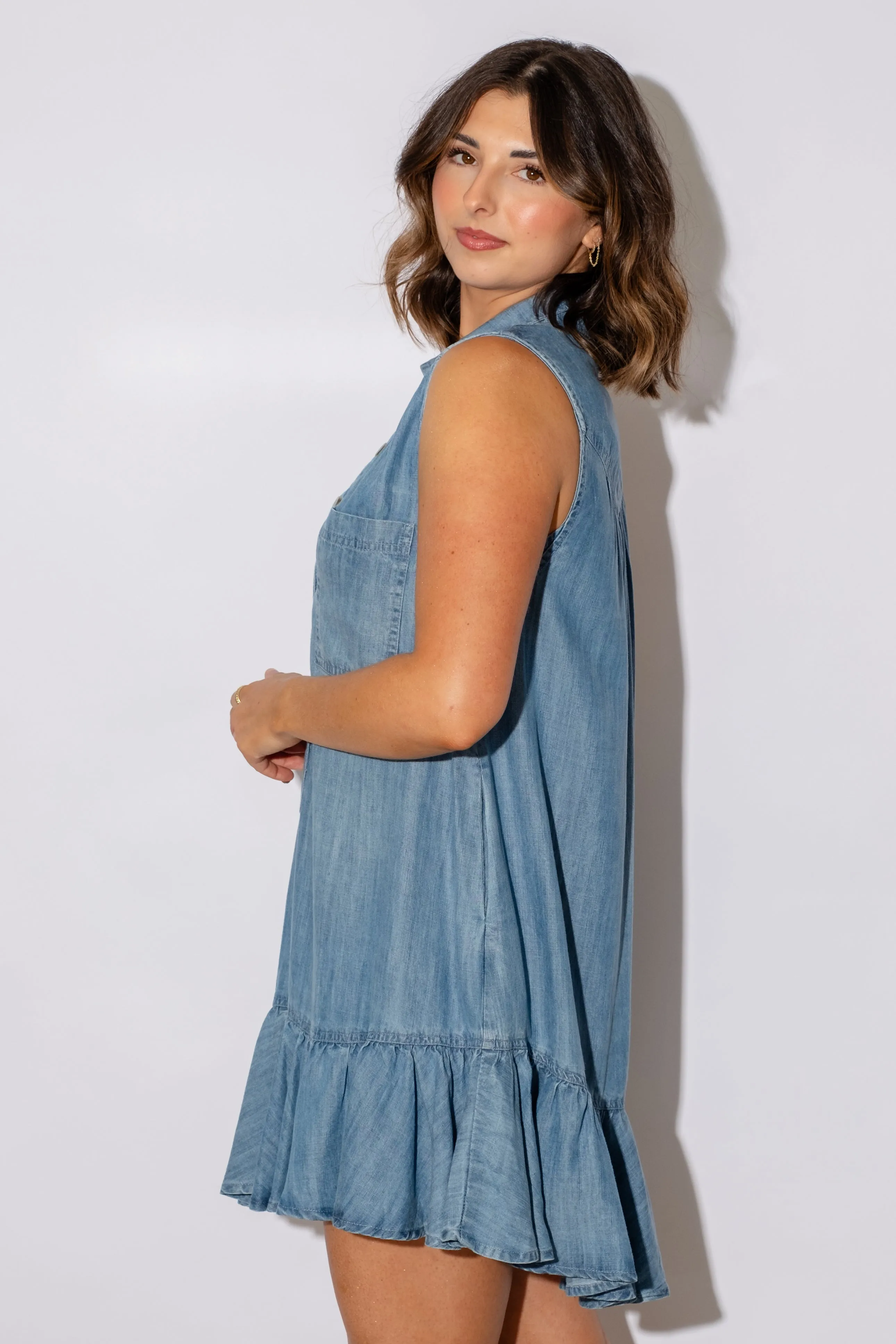 Erica Chambray Dress