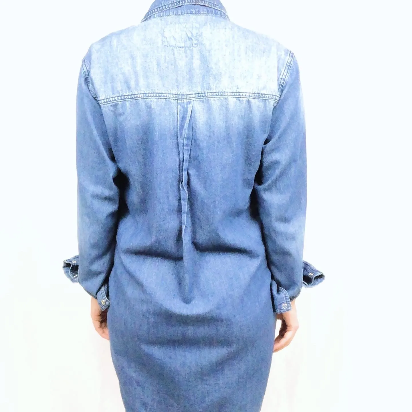 LF Carmar Denim Chambray Dress
