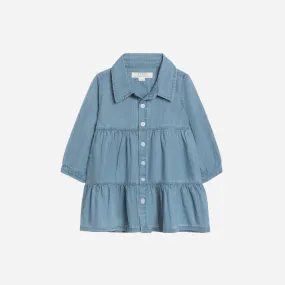 Roxy Chambray Shirt Dress