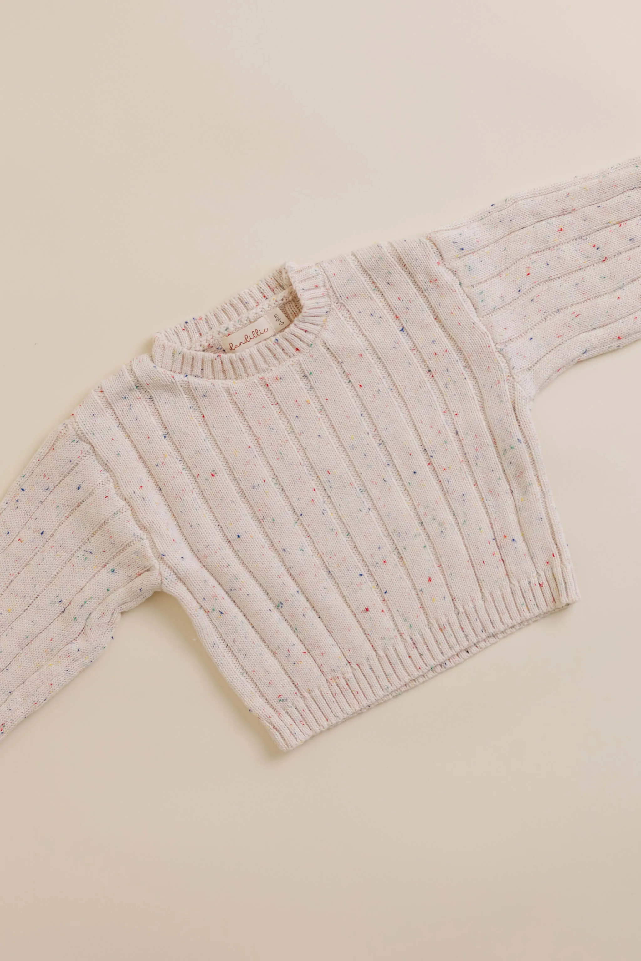 Sprinkle Knit Wide Ribbed Sweater - Oat